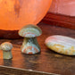 Striped Calcite mushrooms