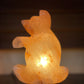 Life is a Bear! Orange Himalayan salt lamp